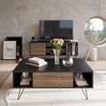 TV stand with coffee table