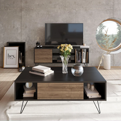 TV stand with coffee table