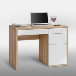 Desk 50x120cm - FNH211